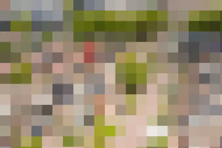Basserhof 14 Heerhugowaard thumbnail 5