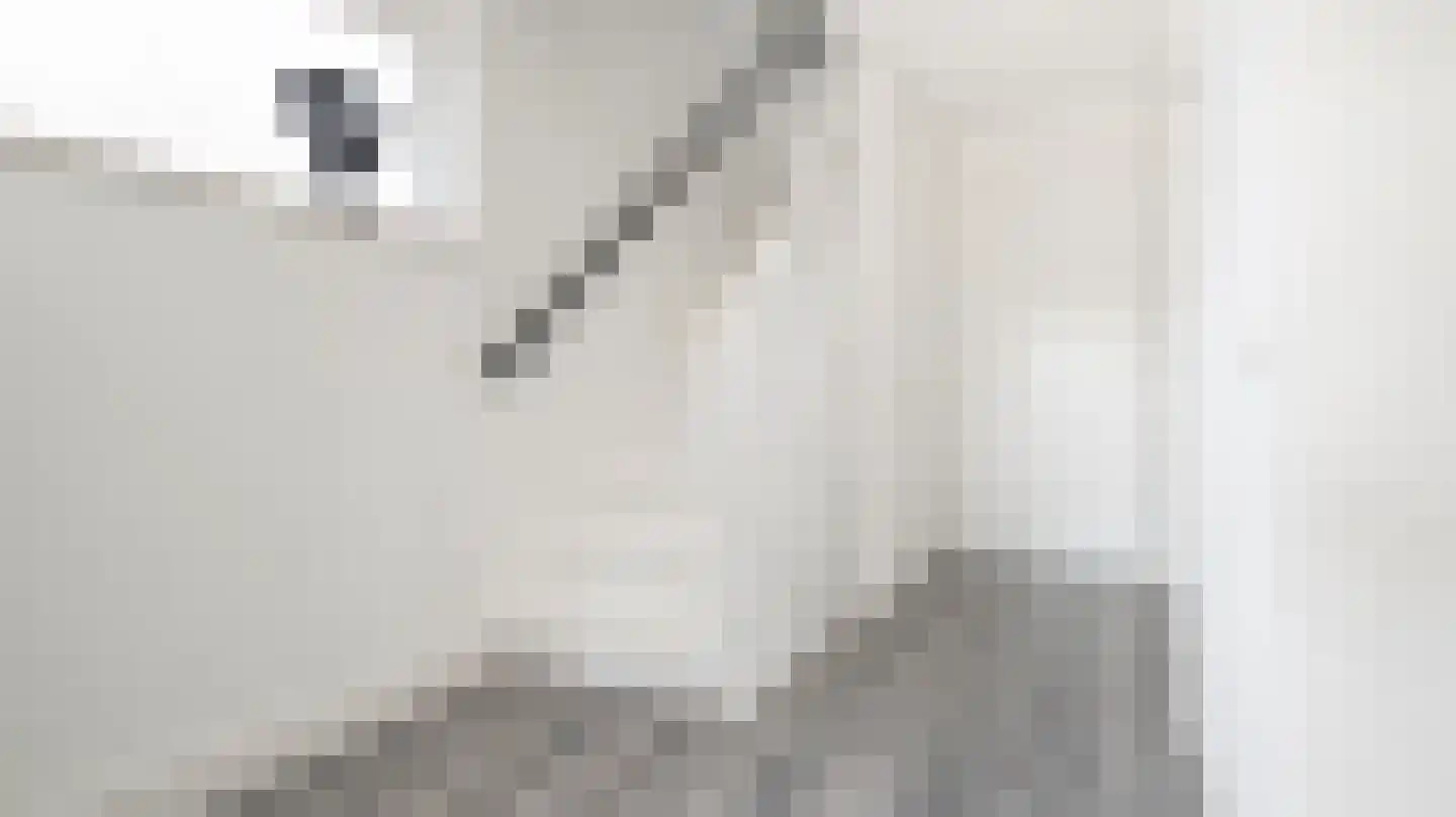 Bassin 1 Almelo thumbnail 17