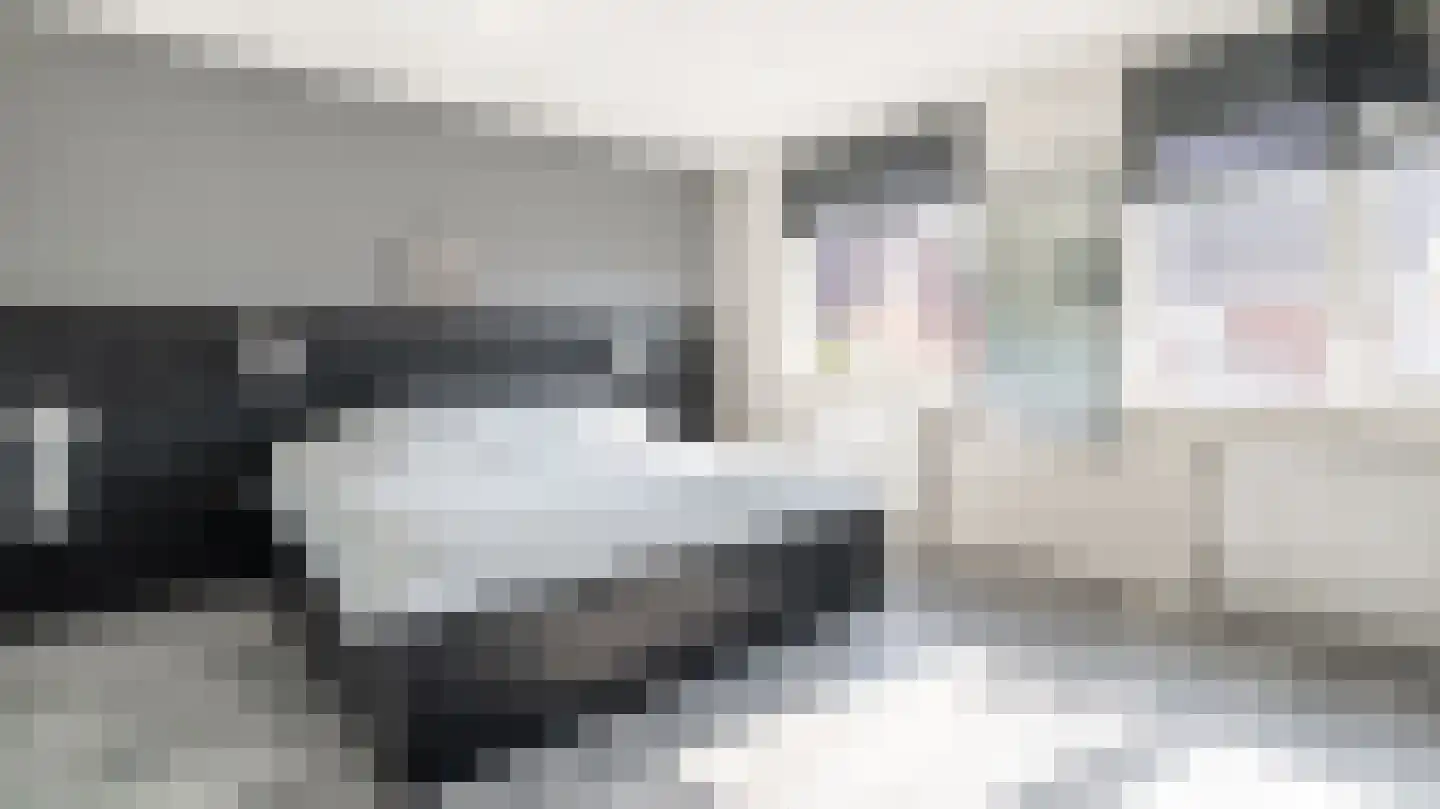 Bassin 1 Almelo thumbnail 18