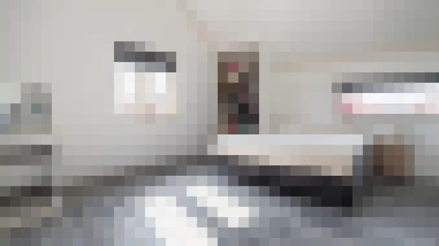 Bassin 1 Almelo thumbnail 22