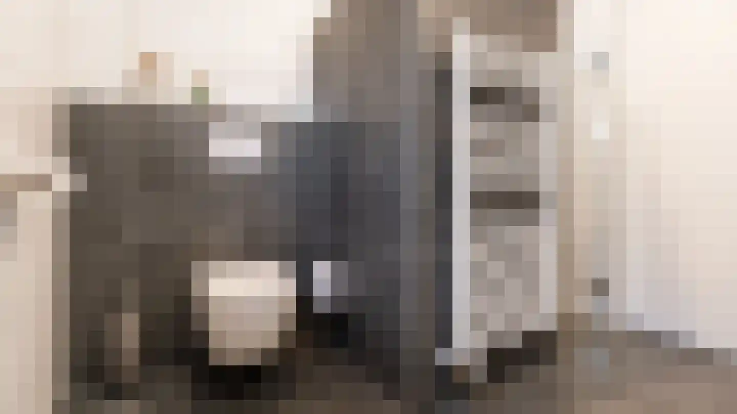 Bassin 1 Almelo thumbnail 24