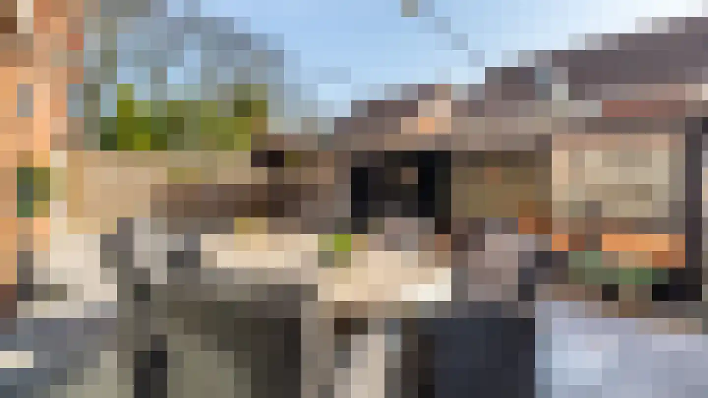 Bassin 1 Almelo thumbnail 36