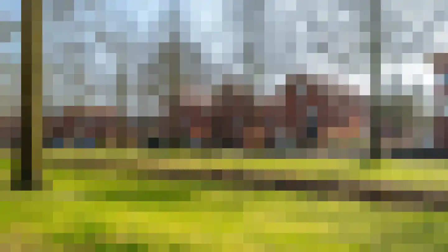 Bassin 1 Almelo thumbnail 37
