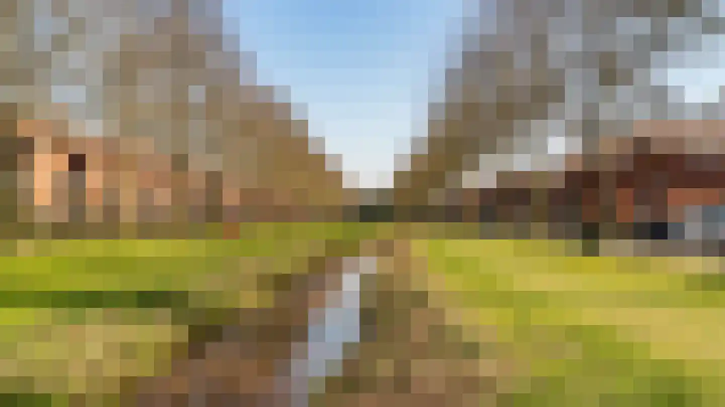Bassin 1 Almelo thumbnail 38