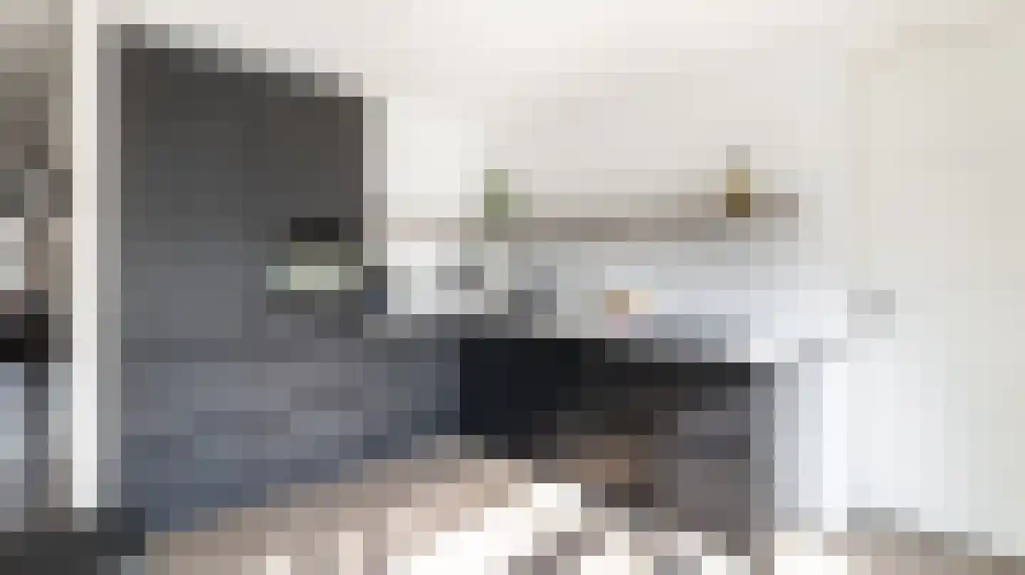 Bassin 1 Almelo thumbnail 9