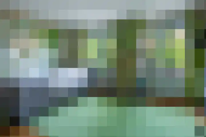 Bassin 5 Almelo thumbnail 13