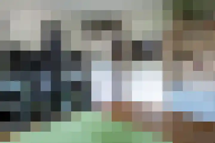 Bassin 5 Almelo thumbnail 14