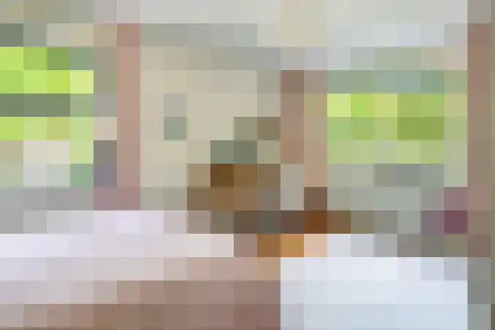 Bassin 5 Almelo thumbnail 15
