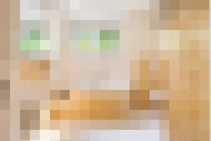 Bassin 5 Almelo thumbnail 17
