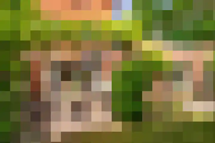Bassin 5 Almelo thumbnail 28