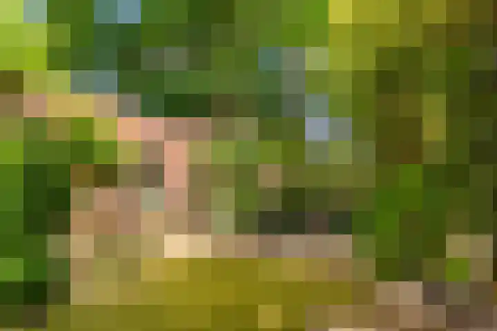Bassin 5 Almelo thumbnail 29