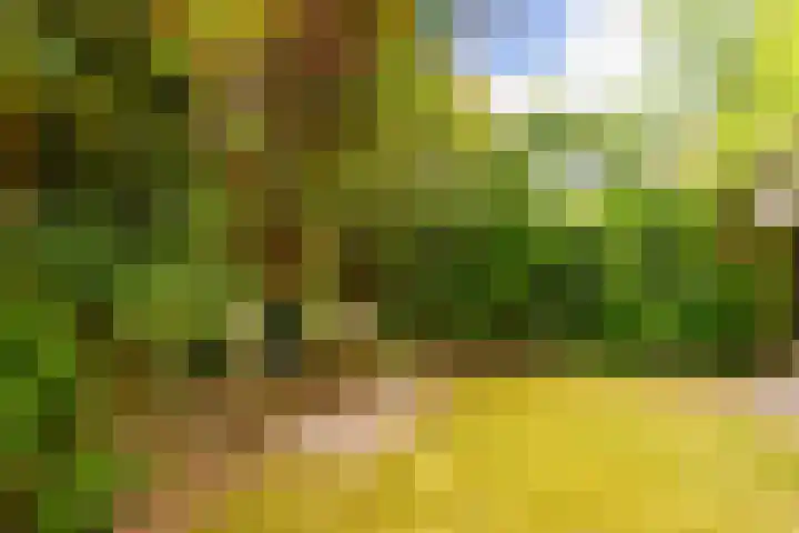 Bassin 5 Almelo thumbnail 31