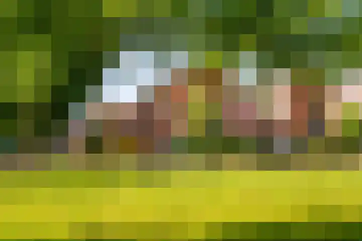 Bassin 5 Almelo thumbnail 33