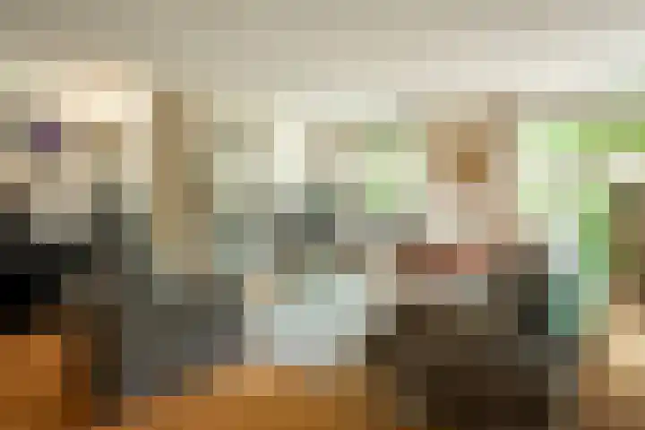 Bassin 5 Almelo thumbnail 4