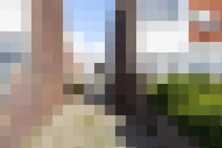Bassingracht 128 Den Helder thumbnail 25