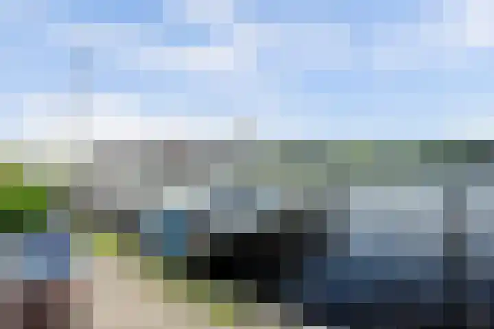Bassingracht 157 Den Helder thumbnail 33