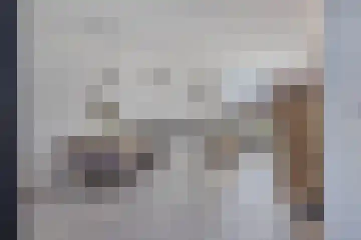 Bassingracht 175 Den Helder thumbnail 8