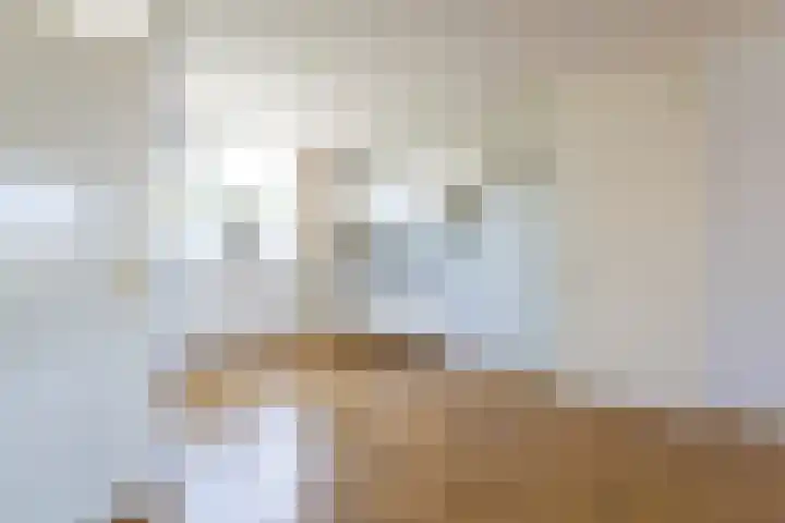 Bassingracht 176 Den Helder thumbnail 8