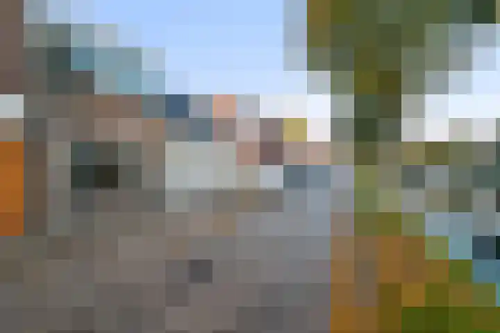 Bassingracht 32 Den Helder thumbnail 23