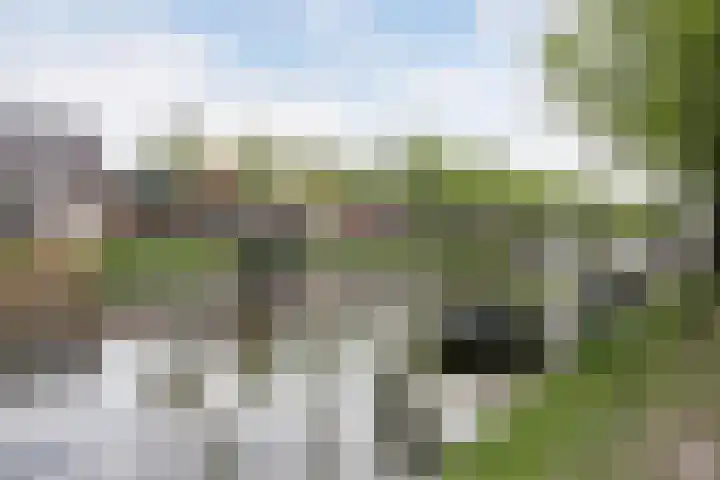 Bassingracht 33 Den Helder thumbnail 31