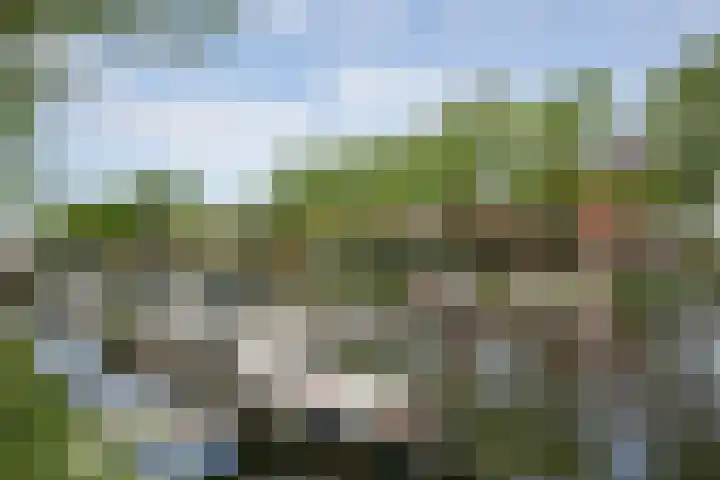 Bassingracht 33 Den Helder thumbnail 33
