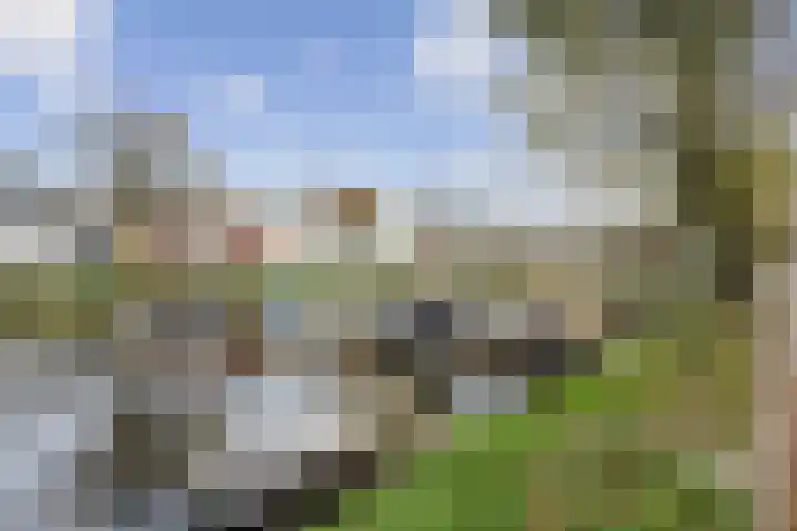 Bassingracht 37 Den Helder thumbnail 31