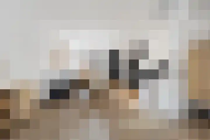 Bassingracht 37 Den Helder thumbnail 8