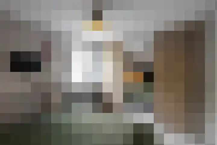 Bassingracht 48 Den Helder thumbnail 24