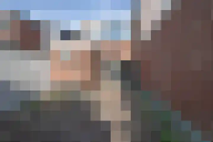 Bassingracht 61 Den Helder thumbnail 13