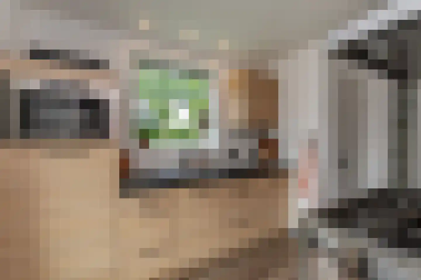 Basstraat 1 Uden thumbnail 16