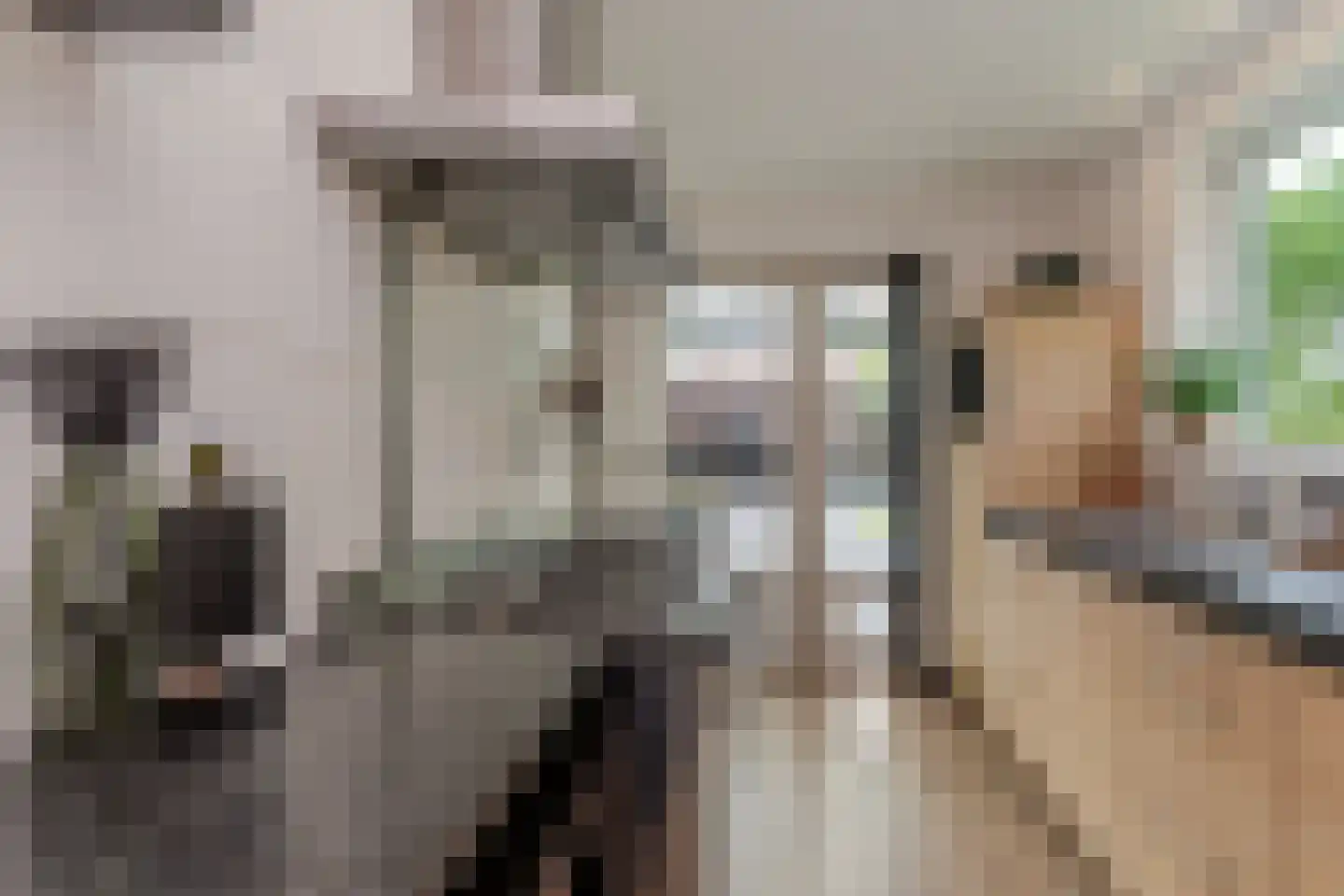 Basstraat 1 Uden thumbnail 17