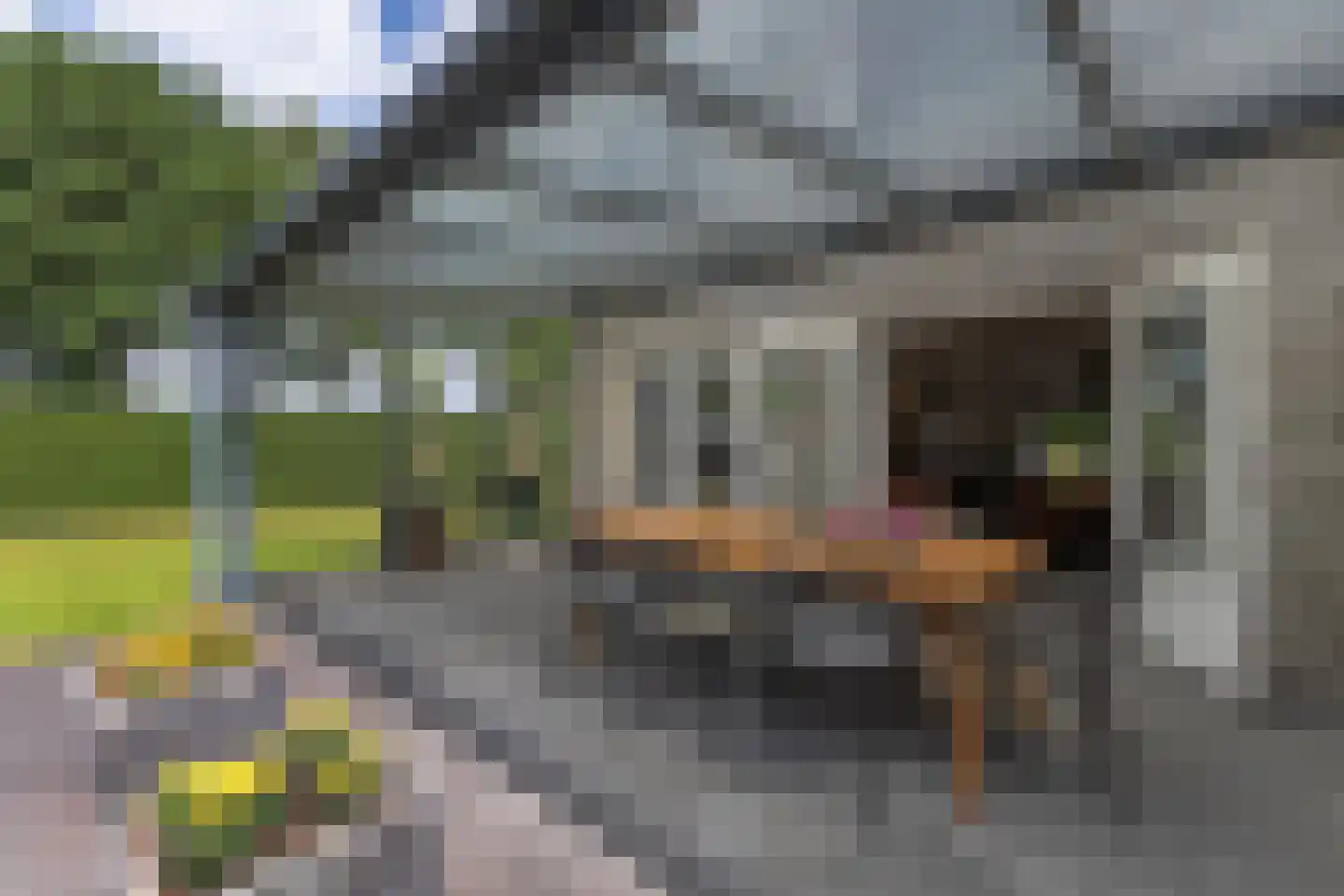 Basstraat 1 Uden thumbnail 18