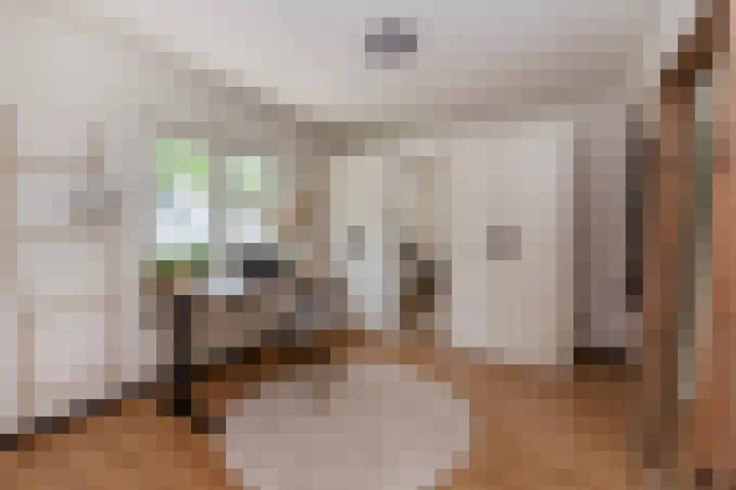 Basstraat 1 Uden thumbnail 34