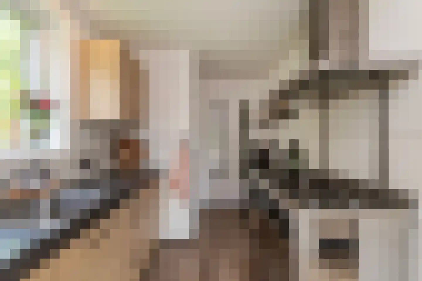 Basstraat 1 Uden thumbnail 4