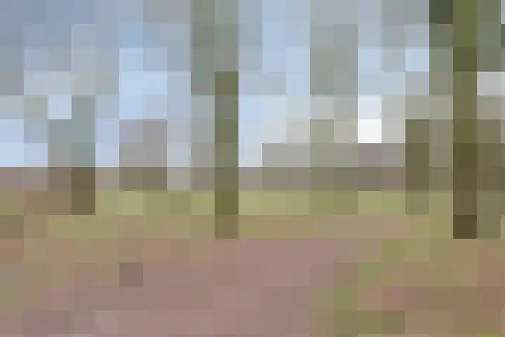 Basstraat 132 Helmond thumbnail 40