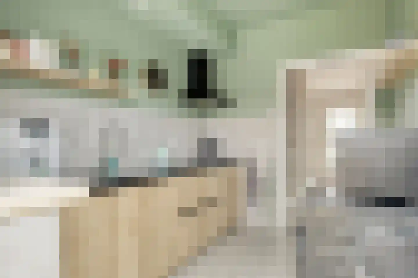 Basstraat 37 Uden thumbnail 17