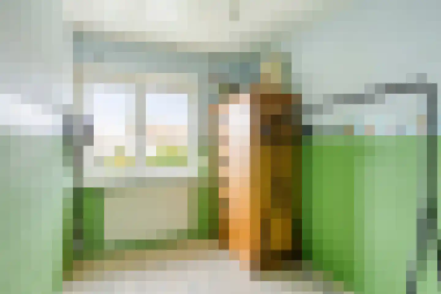 Basstraat 37 Uden thumbnail 24