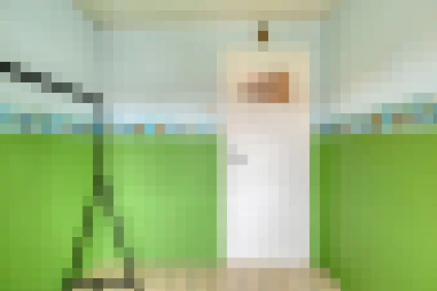 Basstraat 37 Uden thumbnail 25