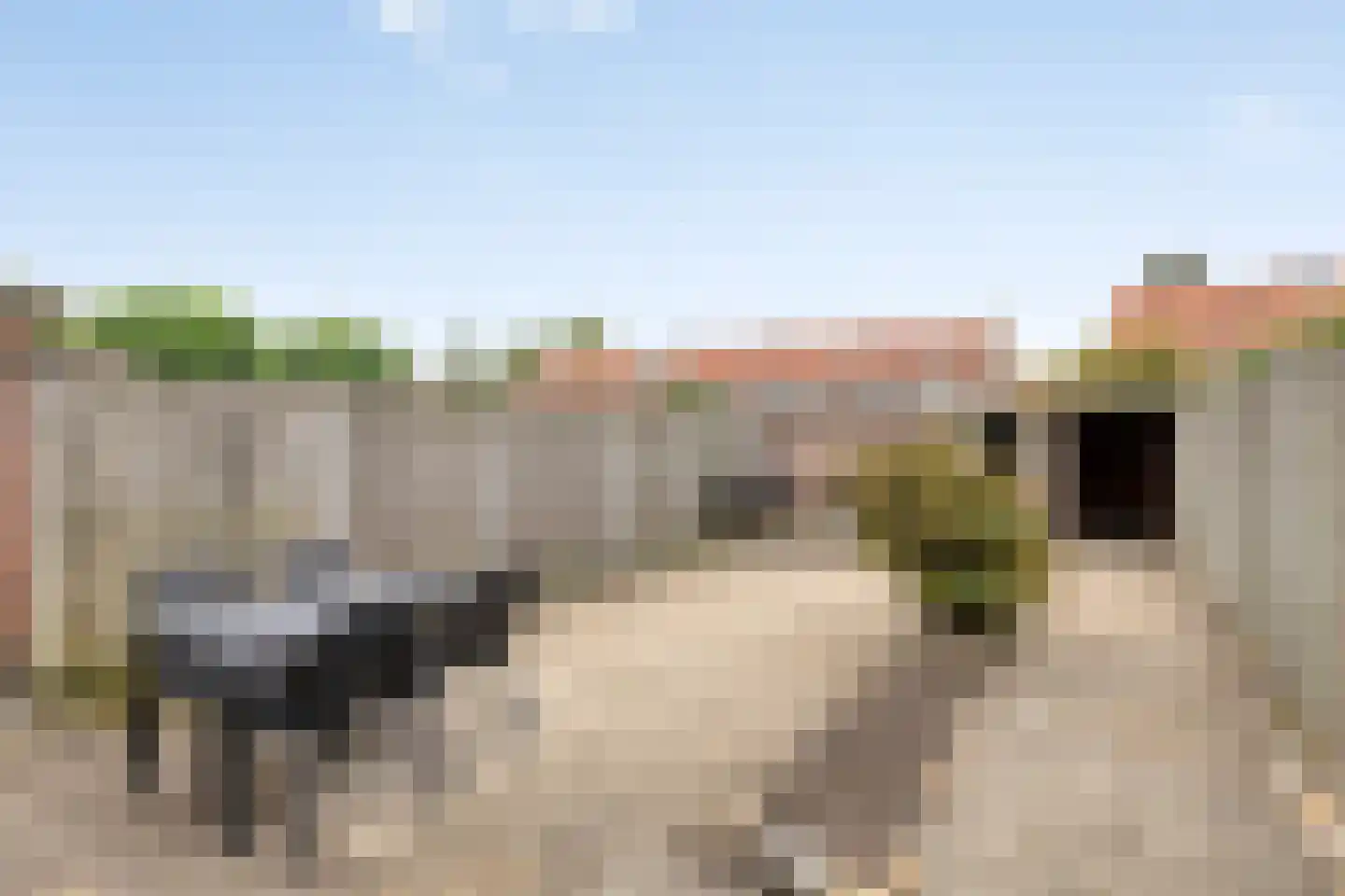 Basstraat 37 Uden thumbnail 5