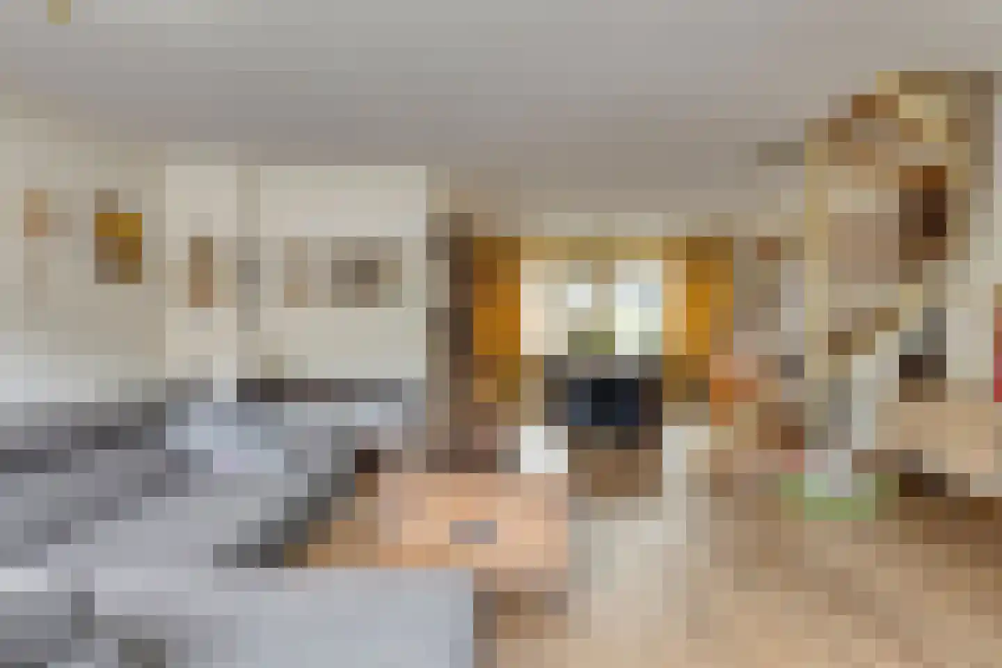 Basstraat 39 Helmond foto 2