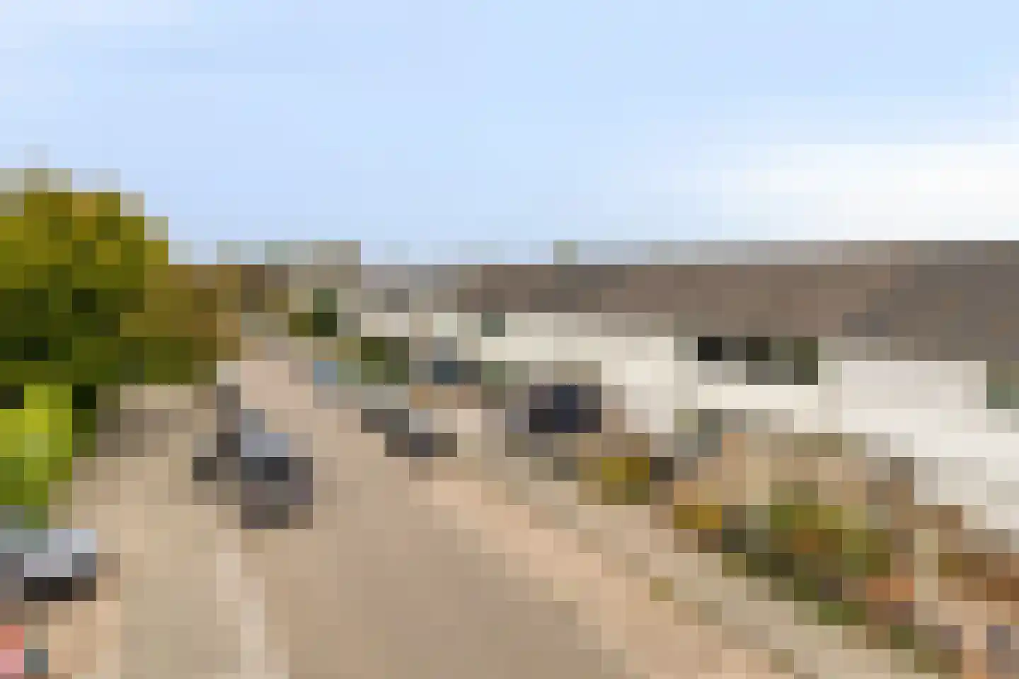 Basstraat 39 Helmond thumbnail 30