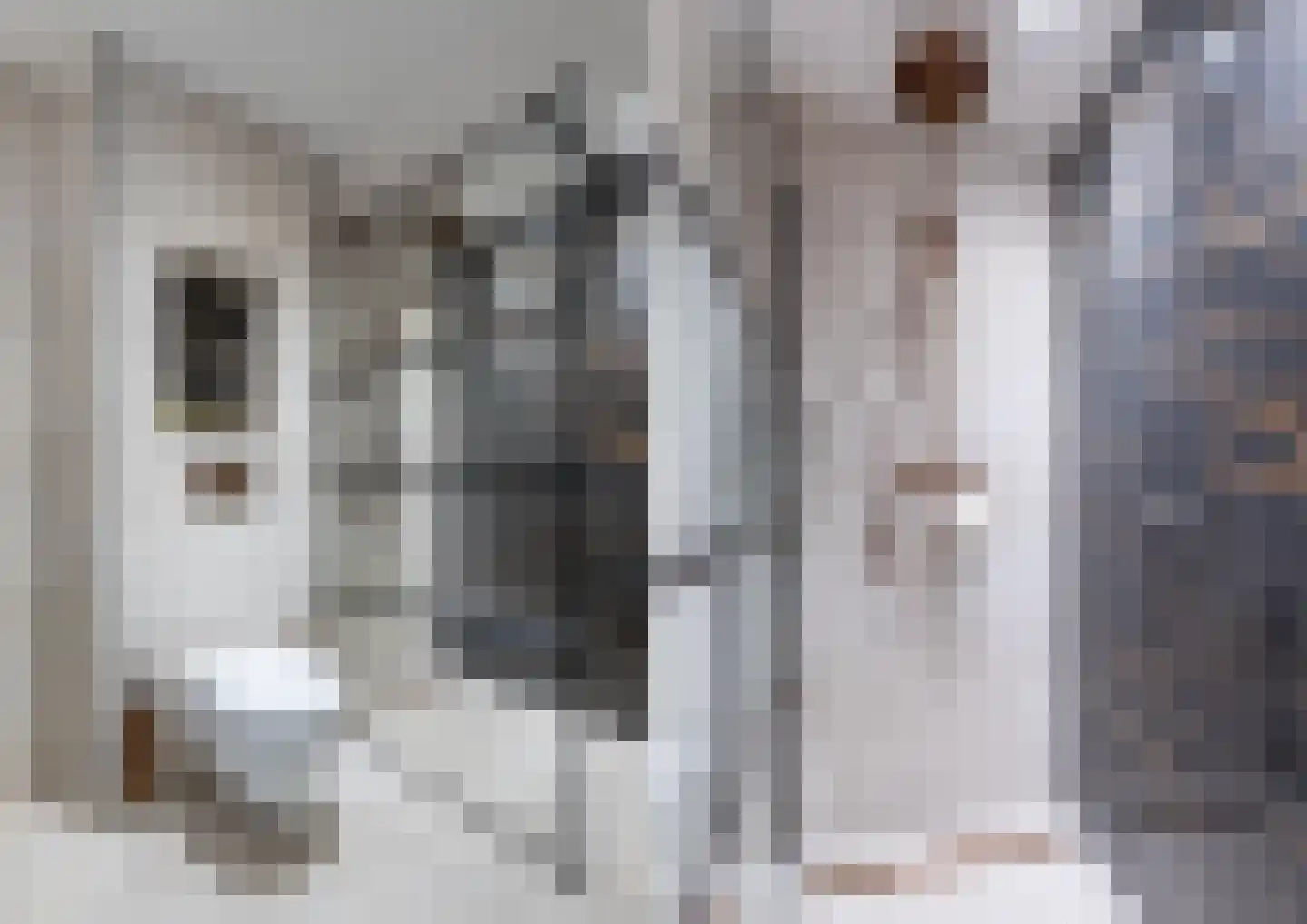 Basstraat 40 Helmond thumbnail 37