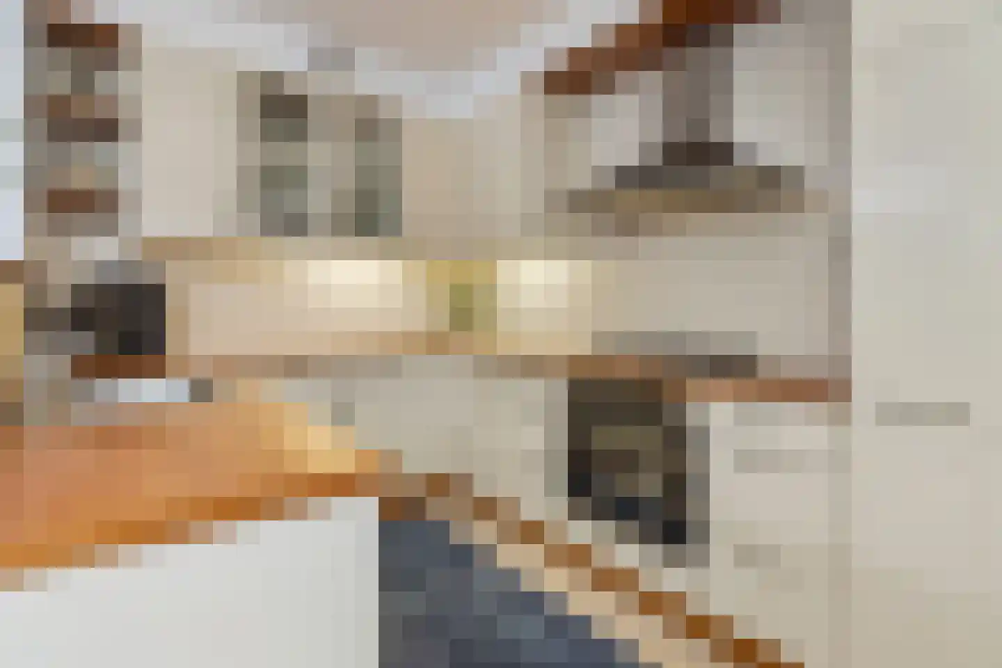 Basstraat 47 Helmond thumbnail 19