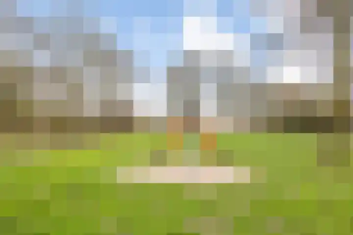 Basstraat 47 Helmond thumbnail 33