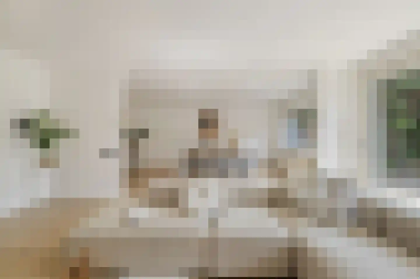 Bastenakenstraat 118 Amsterdam thumbnail 9