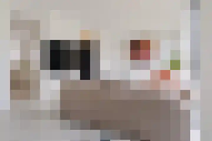 Basterddikkestraat 6 Eijsden thumbnail 13