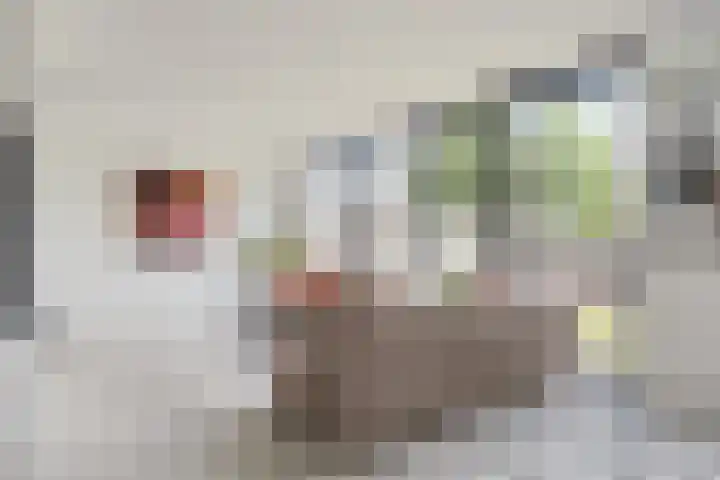 Basterddikkestraat 6 Eijsden thumbnail 15