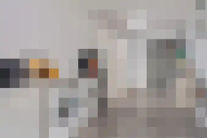 Basterddikkestraat 6 Eijsden thumbnail 18