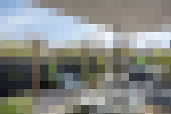 Bastertkamp 17 Zwolle thumbnail 22
