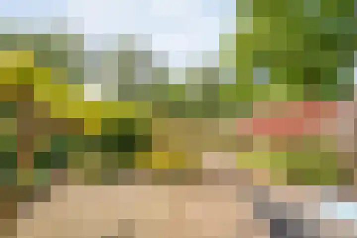 Bastertkamp 17 Zwolle thumbnail 25